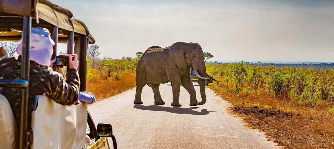 How to Plan Your Dream Vacation – Expert Travel Agent Services